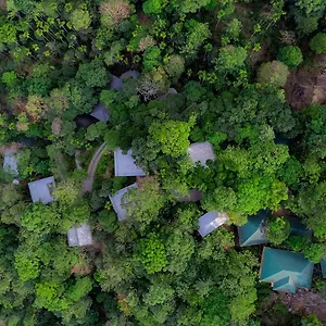 https://wayanad-coffee-trail-resort.kerala-hotels.net