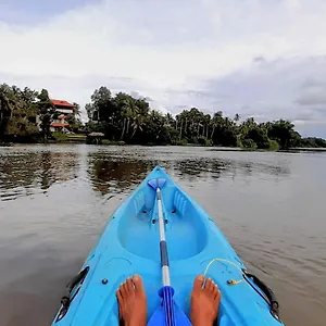 pearl-spot.kerala-hotels.net/