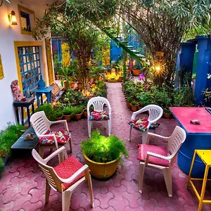 book here